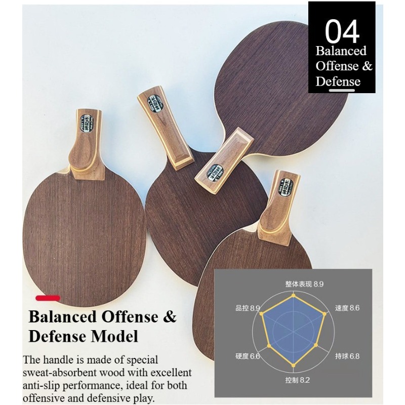 Pala de tenis de mesa profesio - Table Tennis Paddle reseña y precio