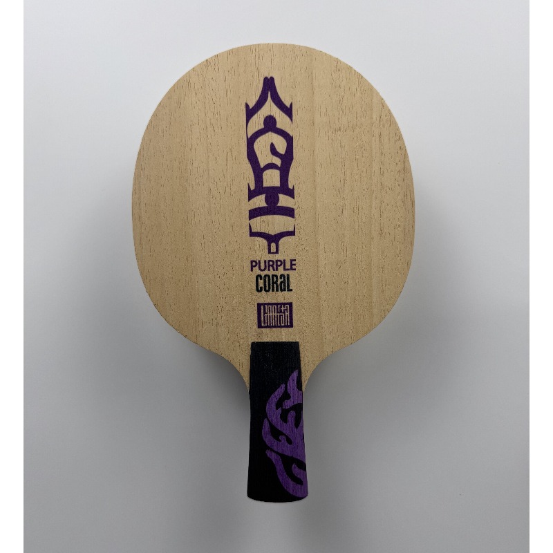 Pala de Tenis de Mesa Meteor P - Table Tennis Paddle reseña y precio