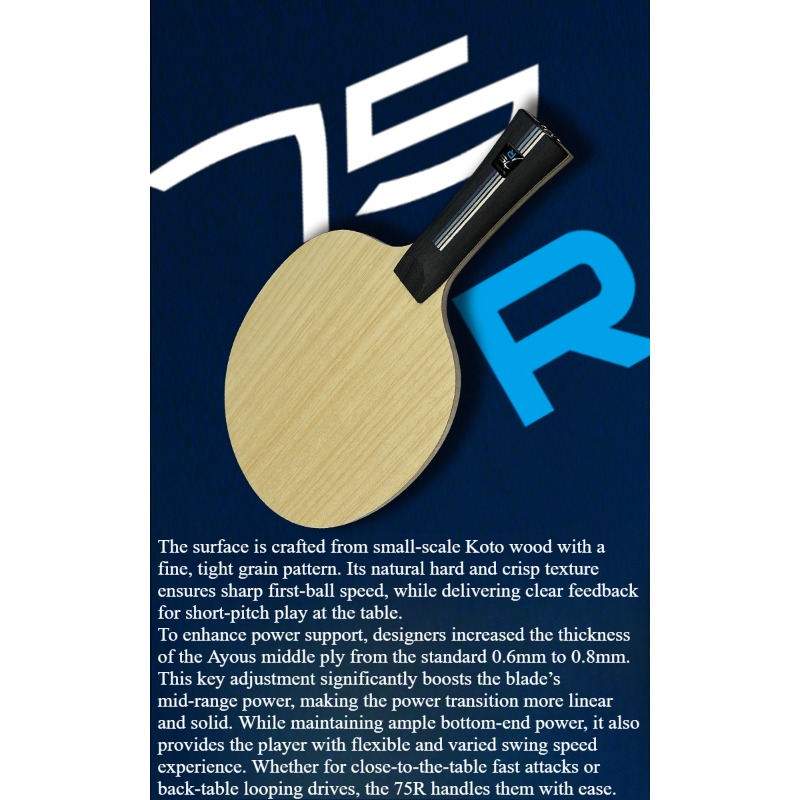SANWEI 75R 5+2 Outer H-GLC, Pa - Table Tennis Table reseña y precio